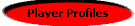 playerprofiles3.gif (1392 bytes)
